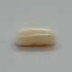 White Coral (Safed Moonga) 5.7 Ct Certified White Coral (Safed Moonga) 5.7 Ct Certified